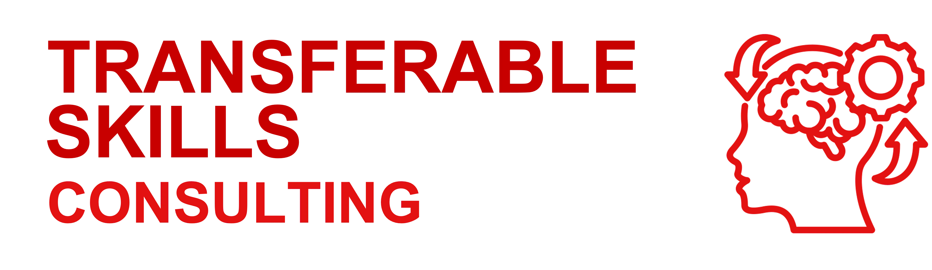 Transferable Skills Consulting Nontraditional