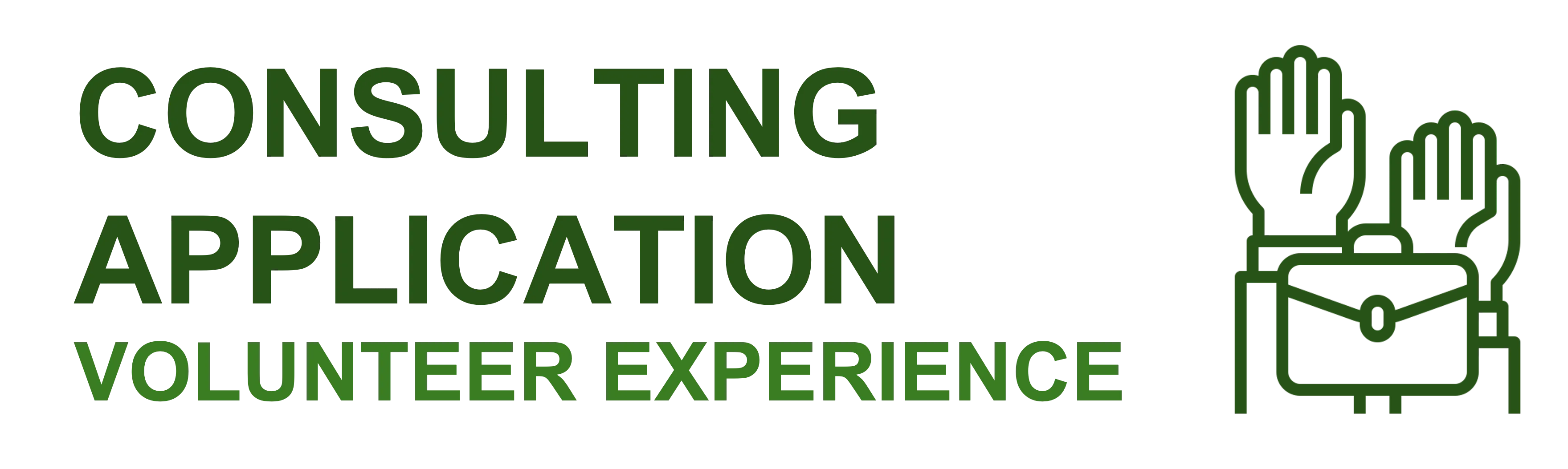 Volunteer Experience Consulting Application