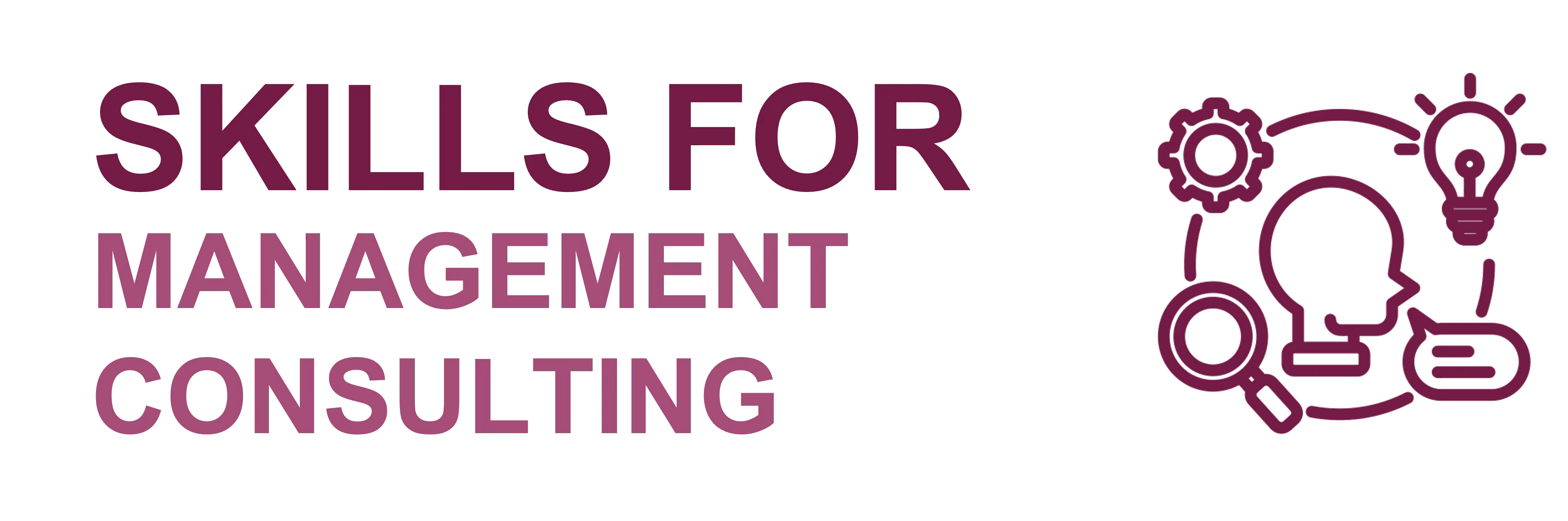 Skills for Management Consulting