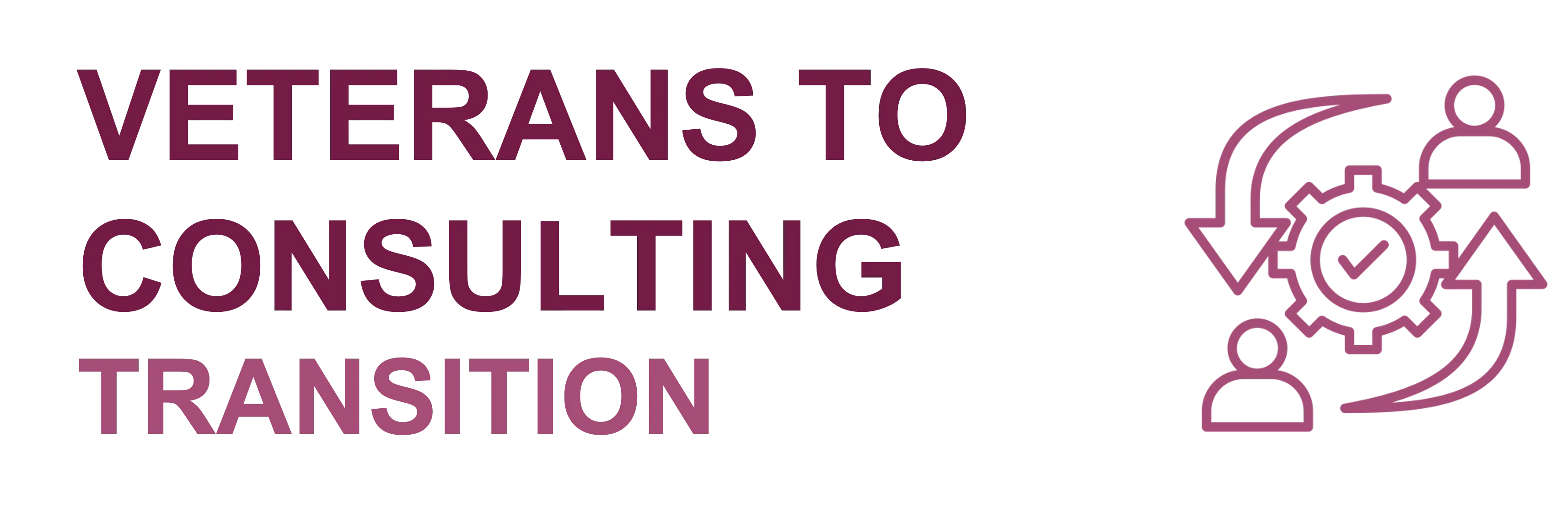 Veterans Transition To Consulting