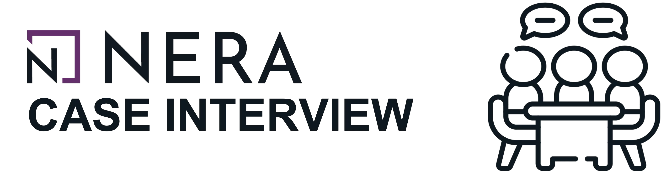 NERA Case Interview
