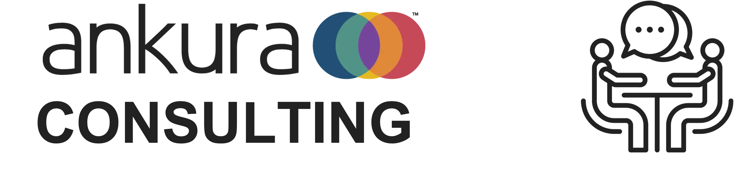 Ankura Firm Overview