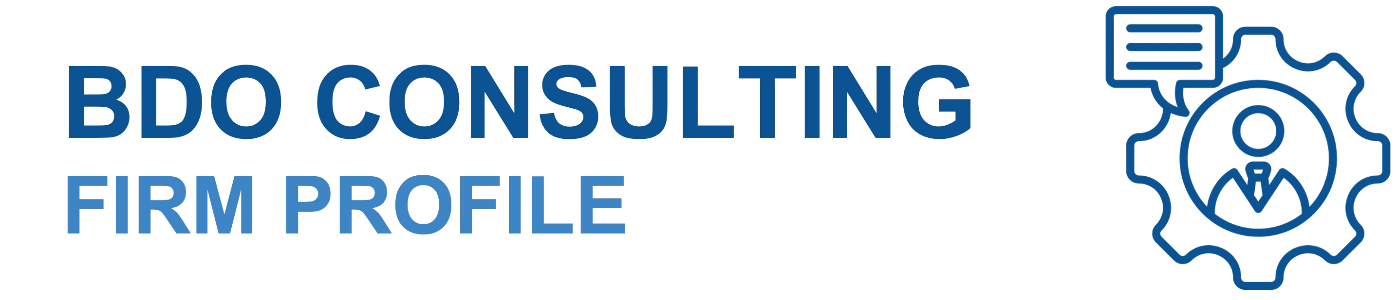 BDO Consulting Firm Profile