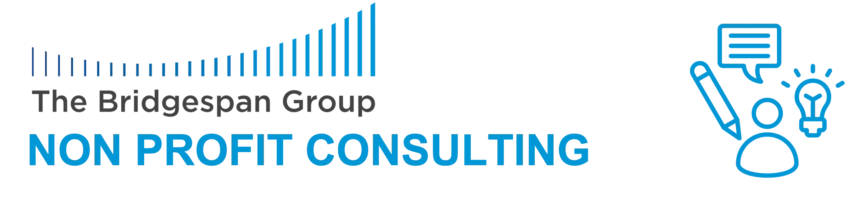 Bridgespan Non-Profit Consulting