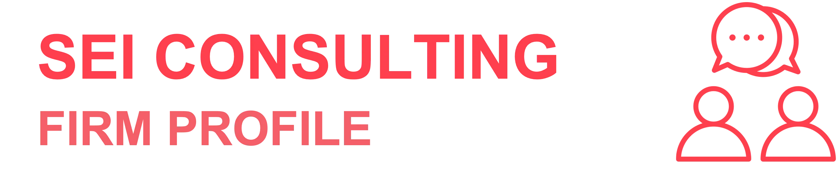 SEI Consulting Firm Profile