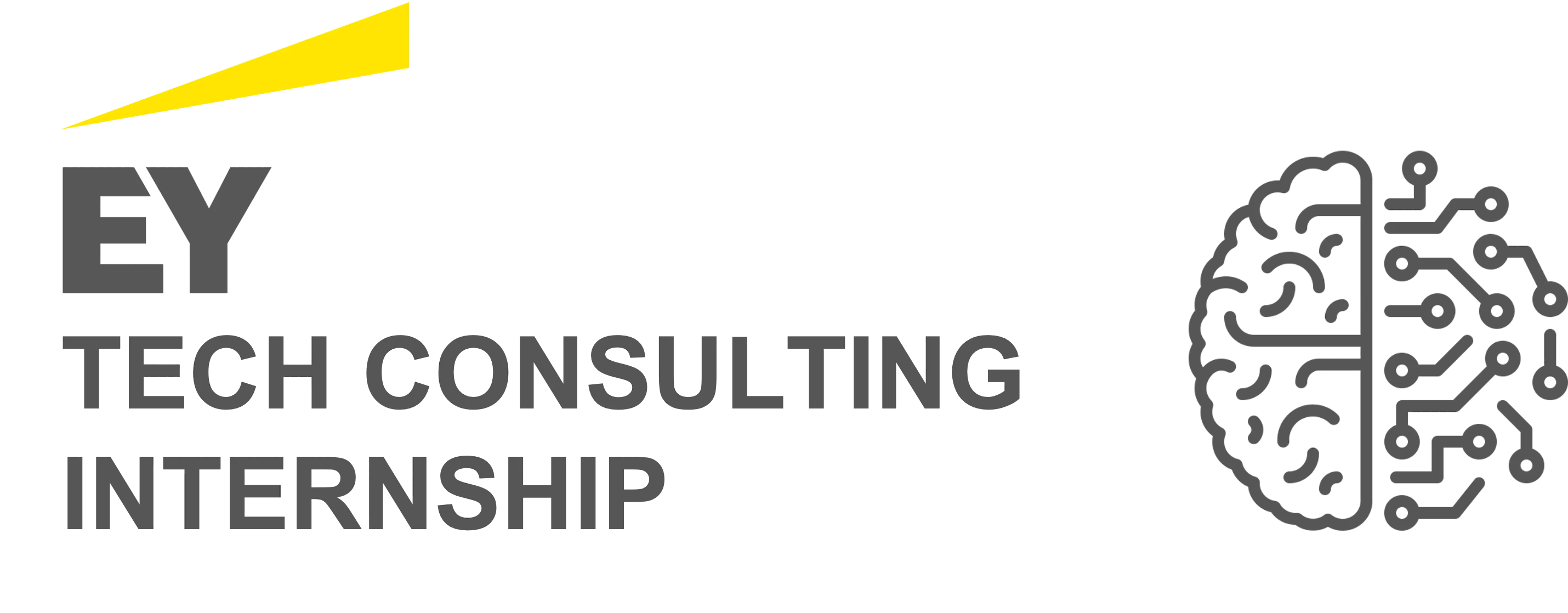 EY Tech Consulting Internship How to Land an Offer