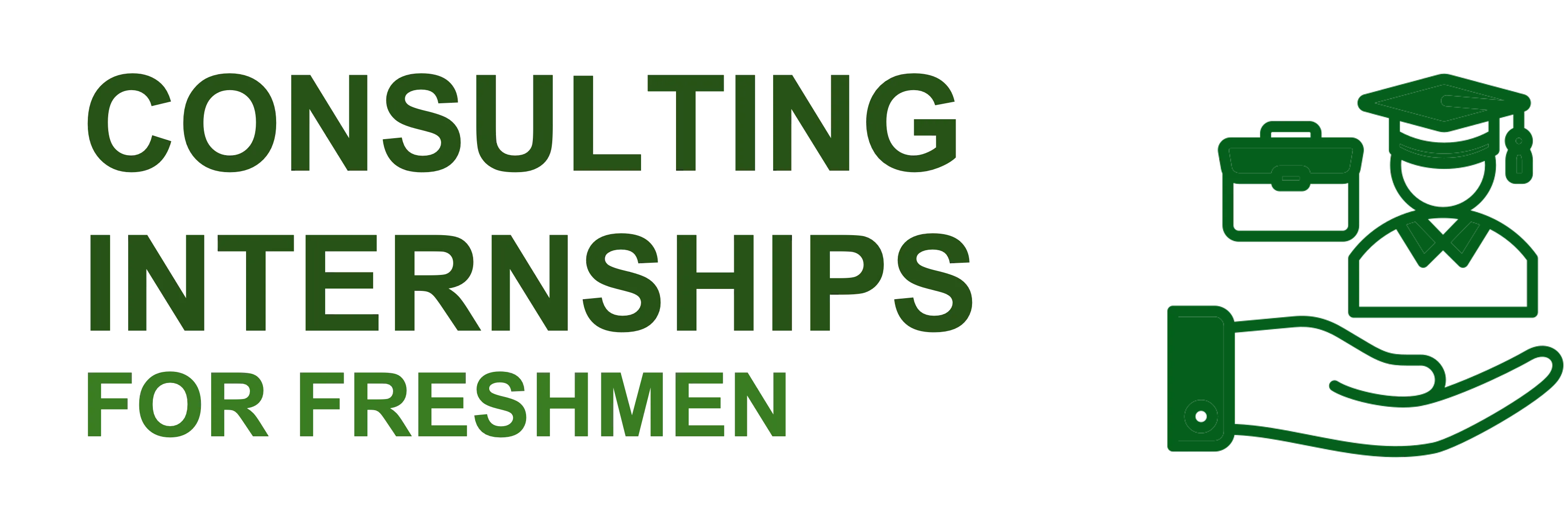 Freshman Consulting Internships