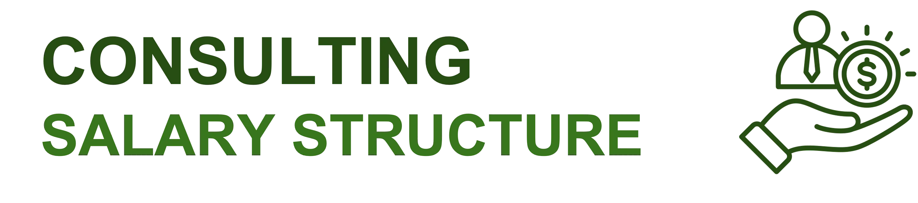 Consulting Salary Structure