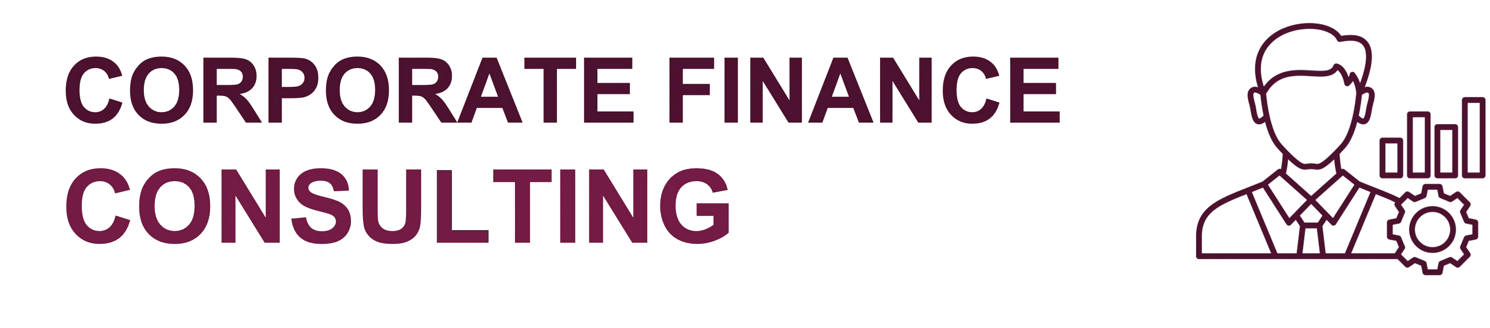 Corporate Finance Consulting