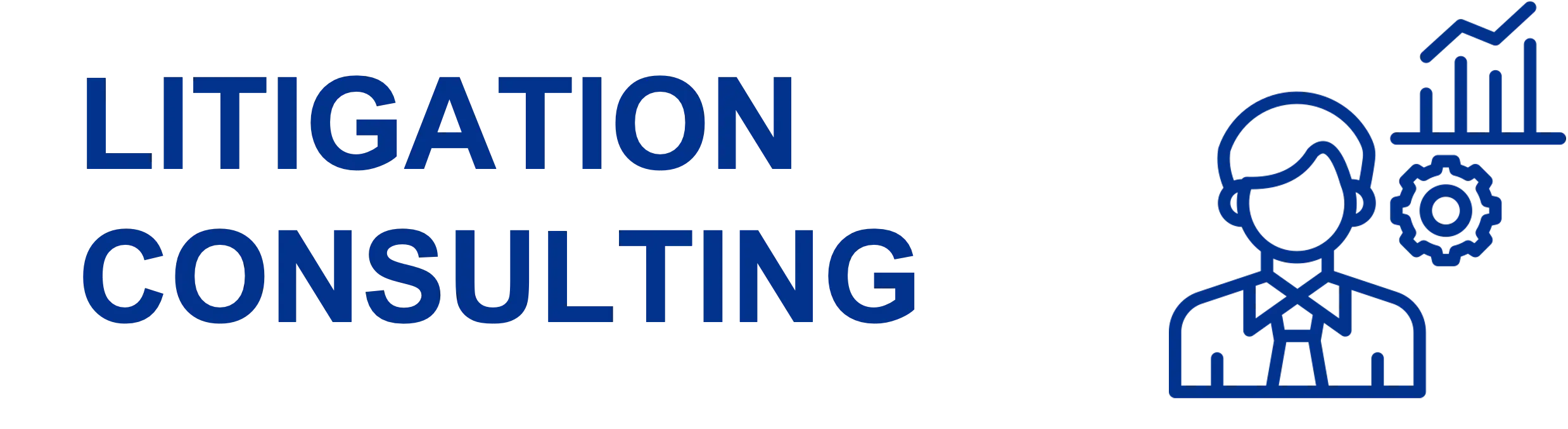 Litigation Consulting