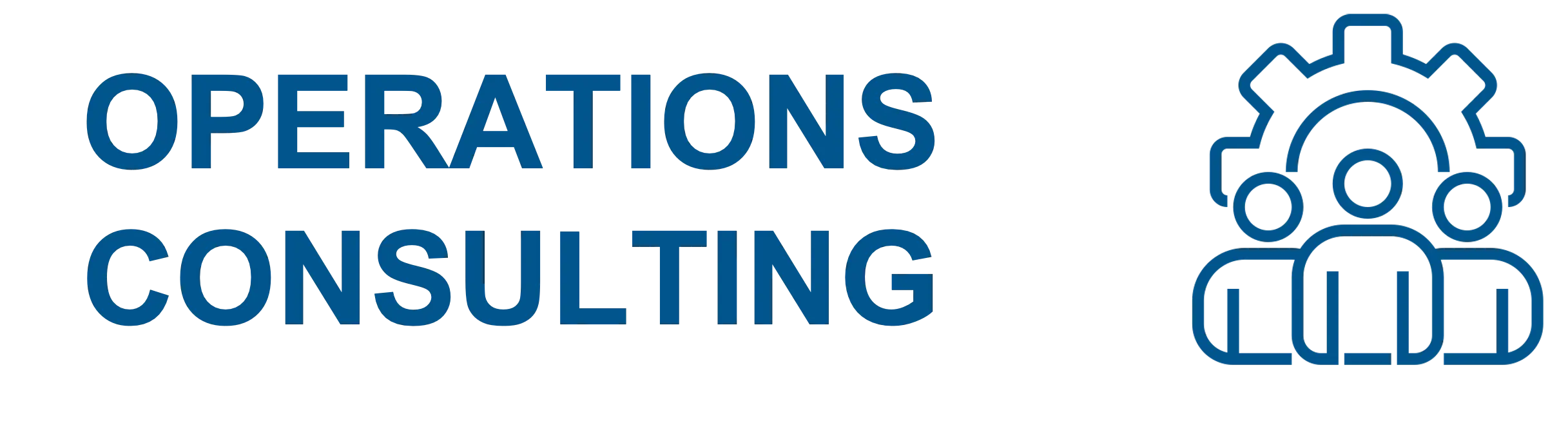 Operations Consulting