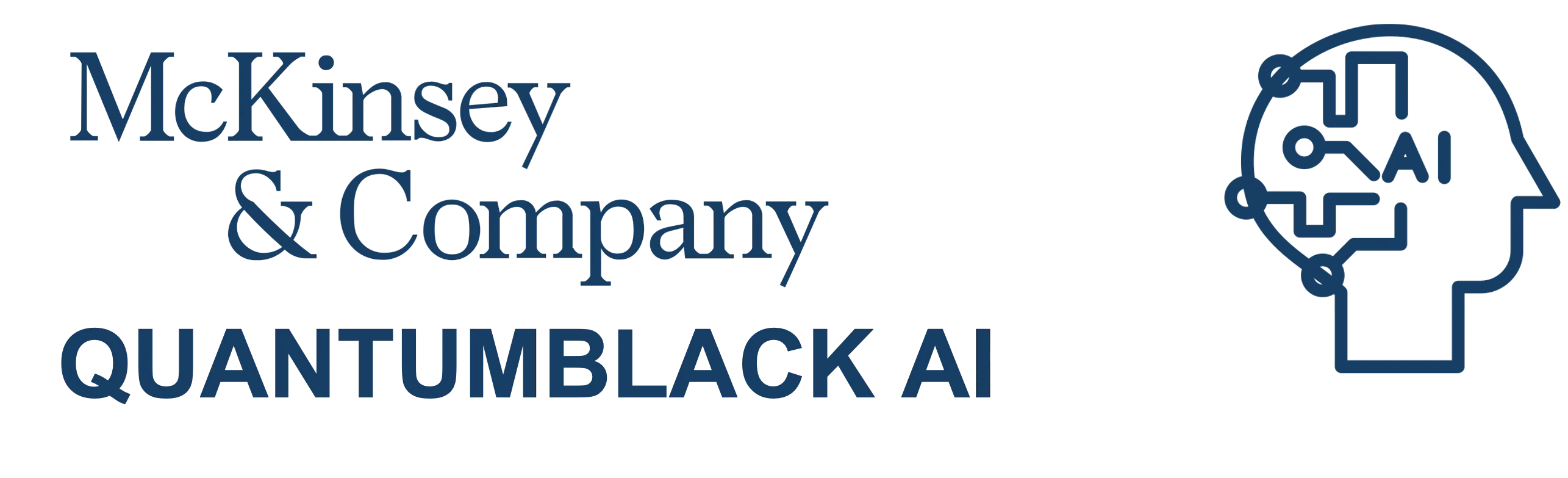 QuantumBlack: AI by McKinsey
