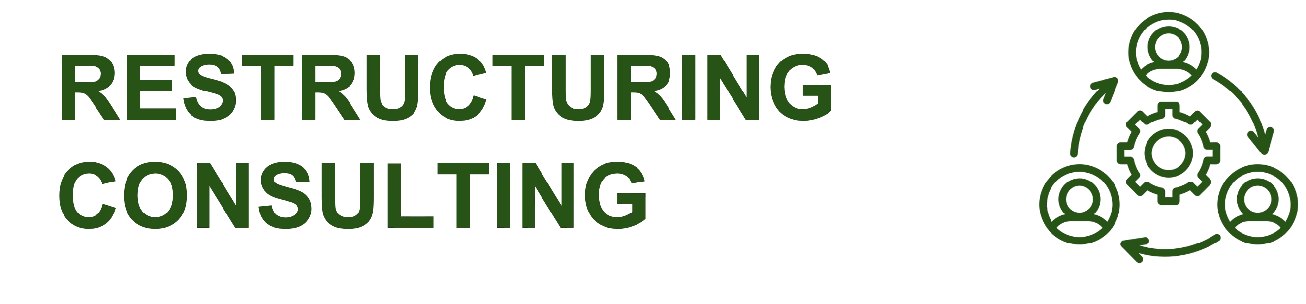 Restructuring Consulting