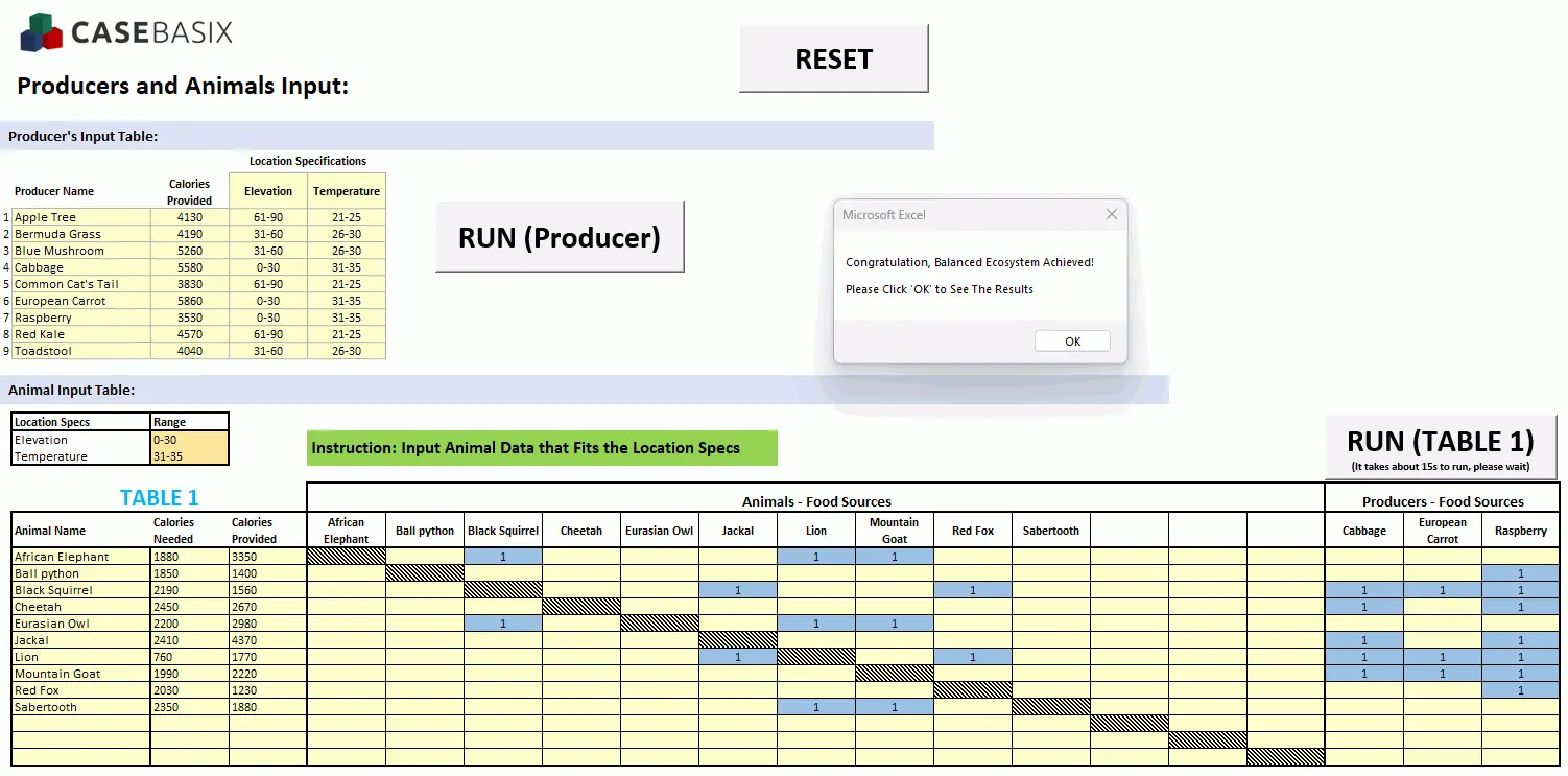 CaseBasix Ecosystem Building Excel Solver