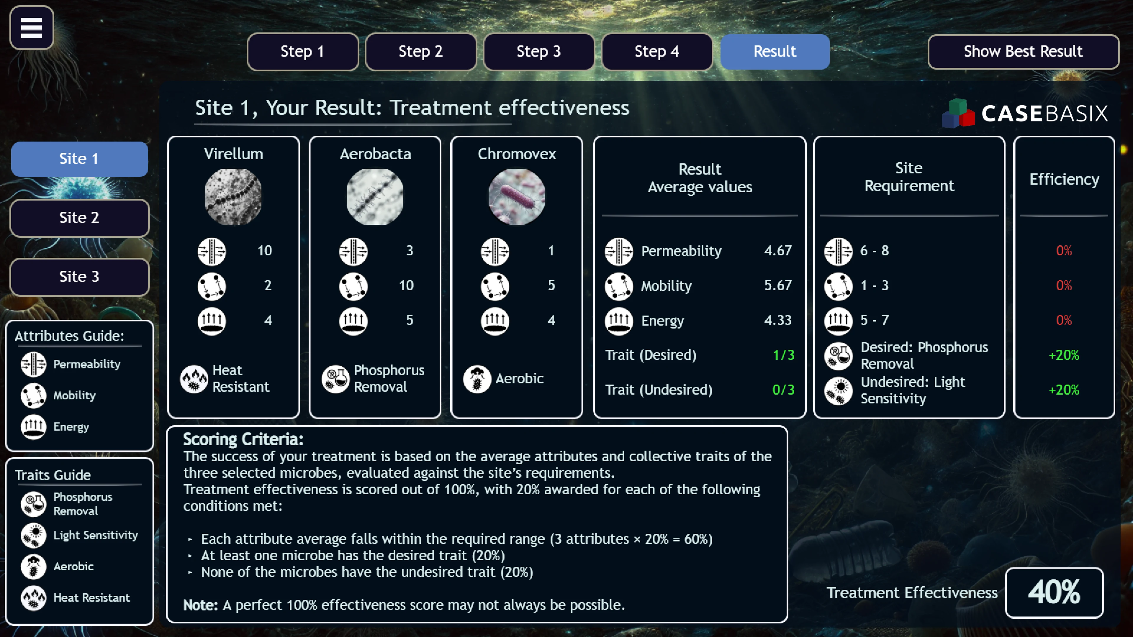 CaseBasix Sea Wolf simulation result for McKinsey Problem Solving Game showing 40% Site 1 score.